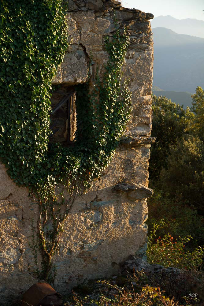 Castagniccia - Rocca Suprana