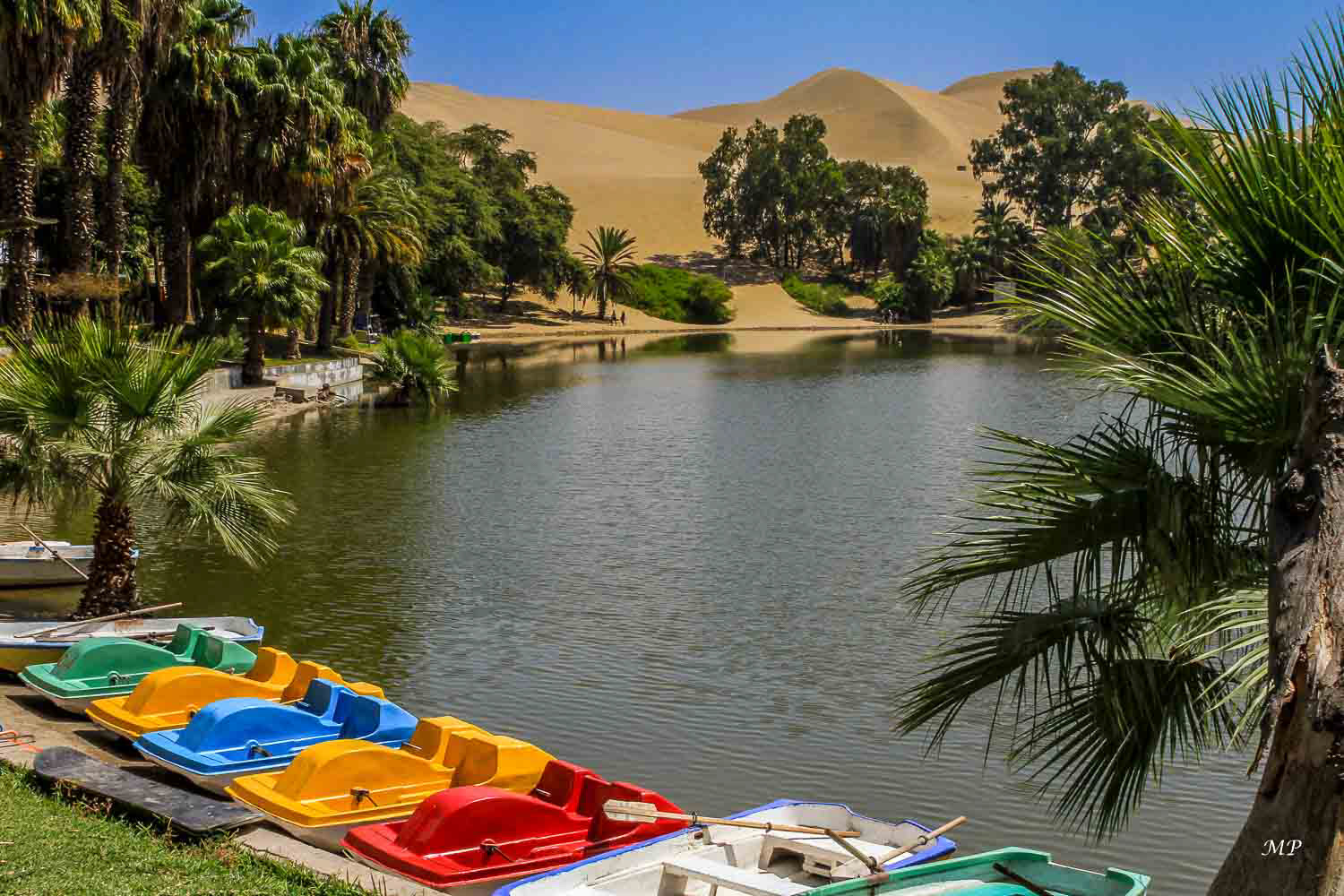 Oasis de Huacachina