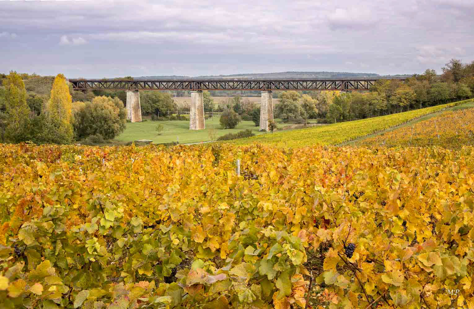 Ancien viaduc ferroviaire de Saint-Menetreol-sous-Sancerre (18)
