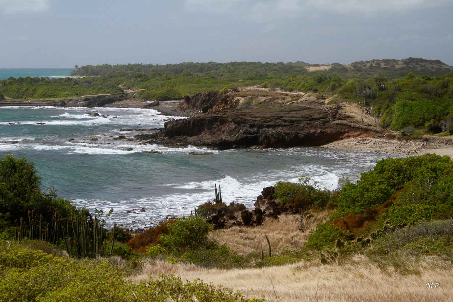 La Savane des Pétrifications