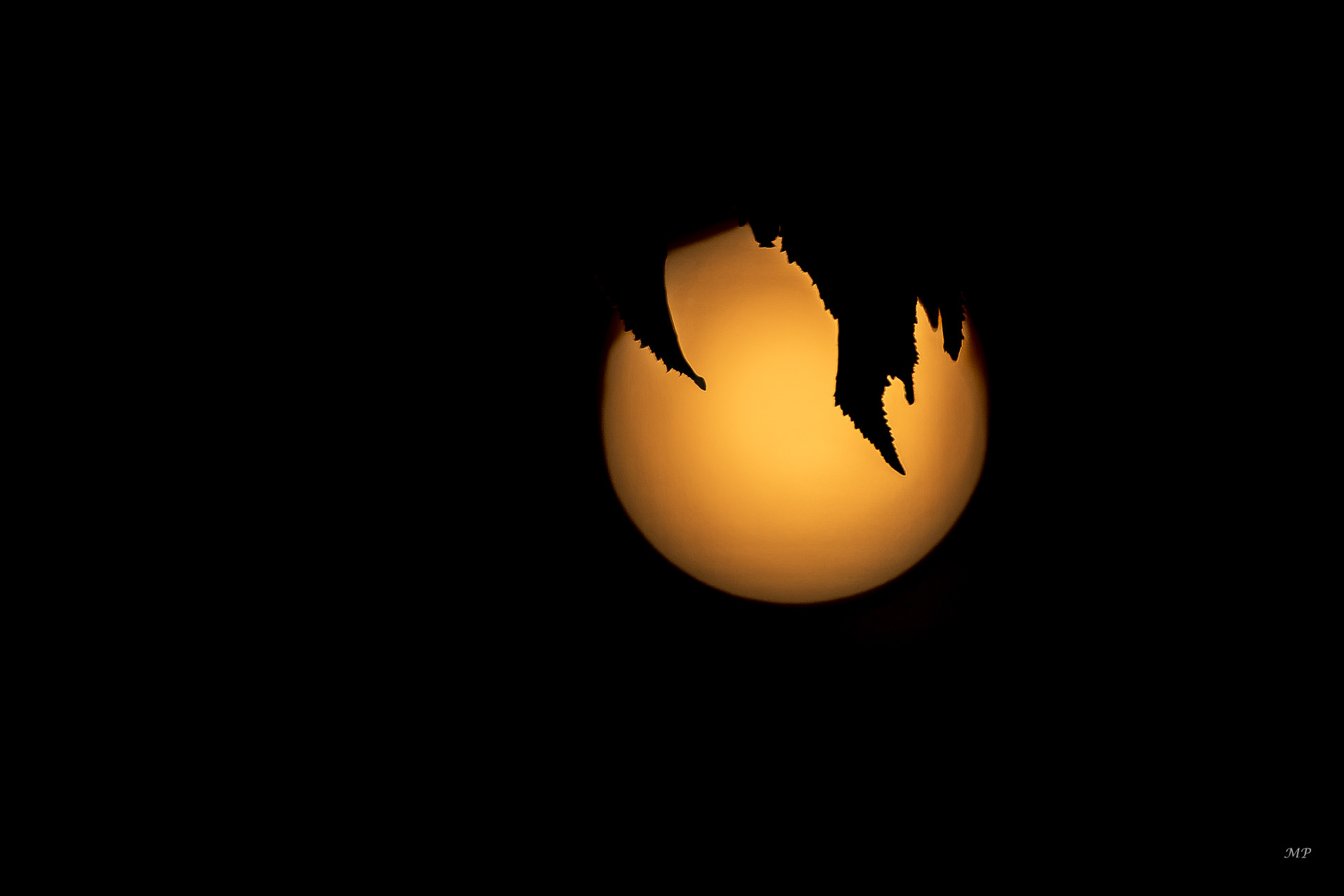 Soleil