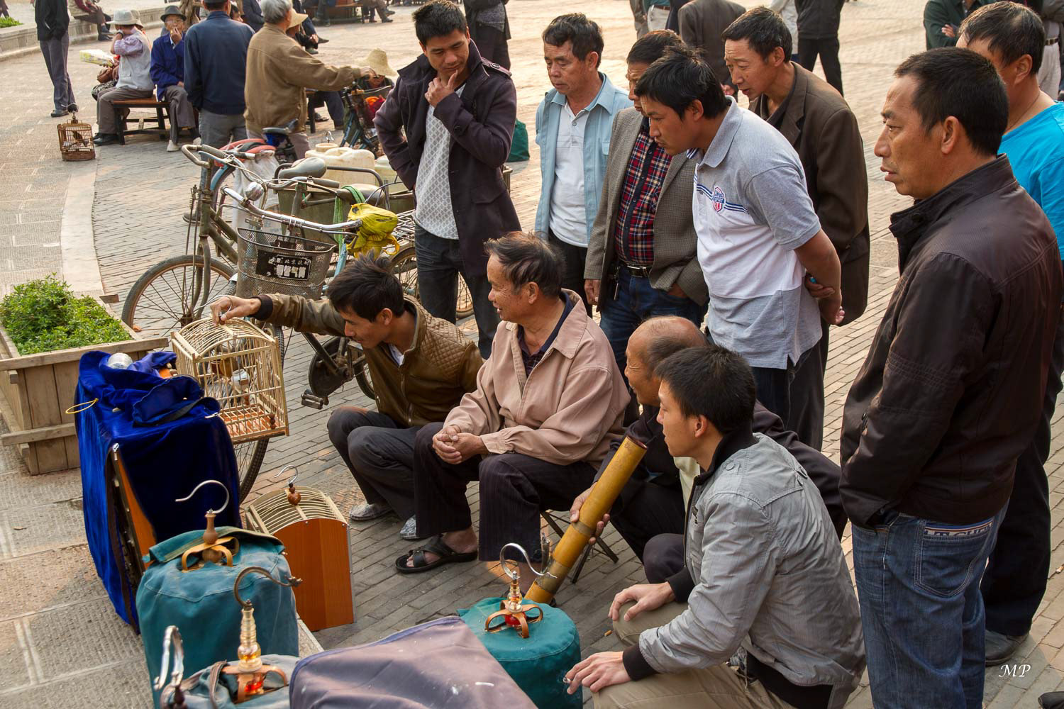 Yunnan - Jianshui : le marché aux oiseaux