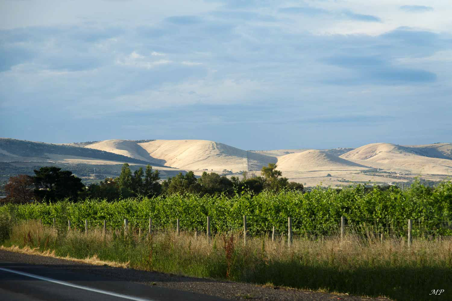 Péninsule Fleurieu - Vignoble et désert se côtoient
