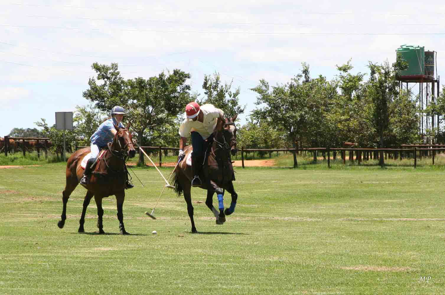 Le Polo, activité sportive nationale