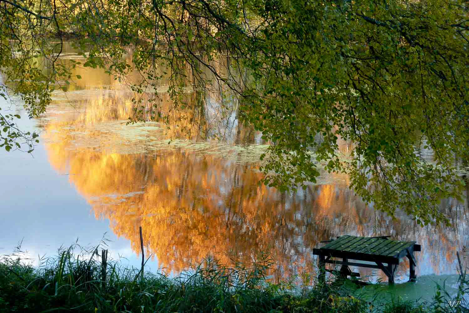 Couleur d'automne à Saint-Hilaire