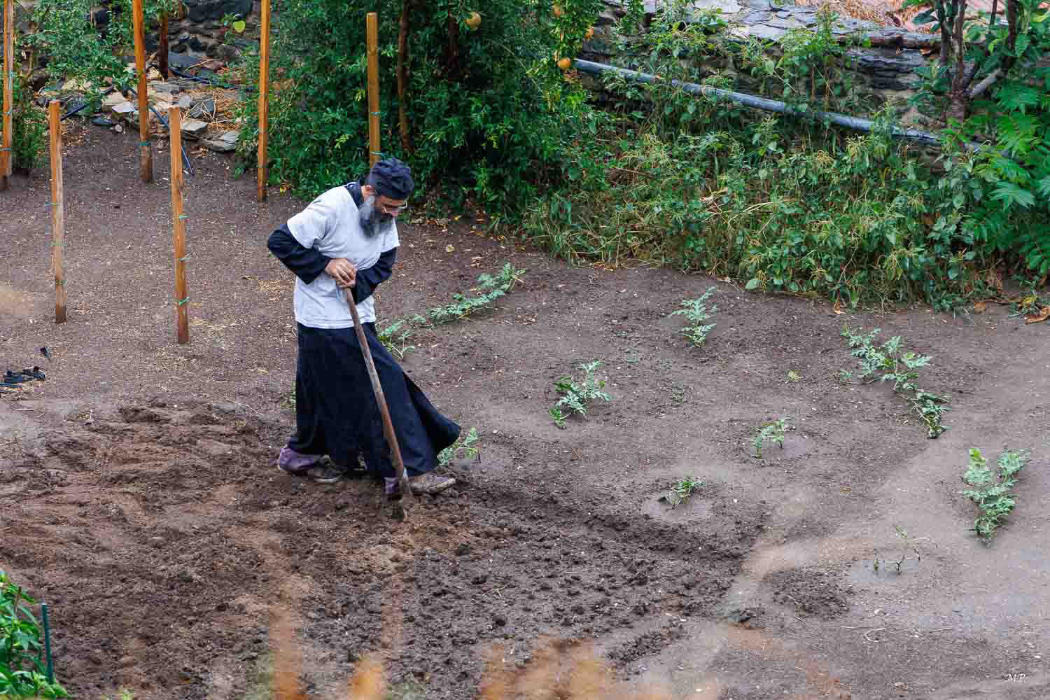 Un moine du Monastère de Vlatadon
