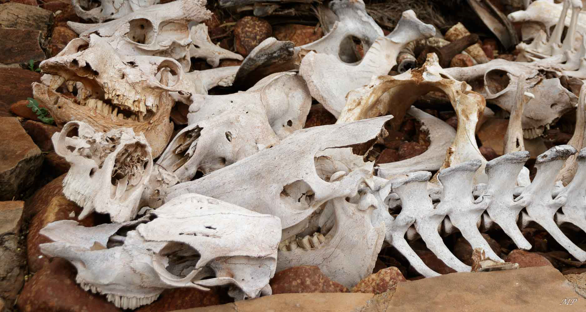 Voilà ce qu'il peut arriver quand on part dans le désert sans précaution !