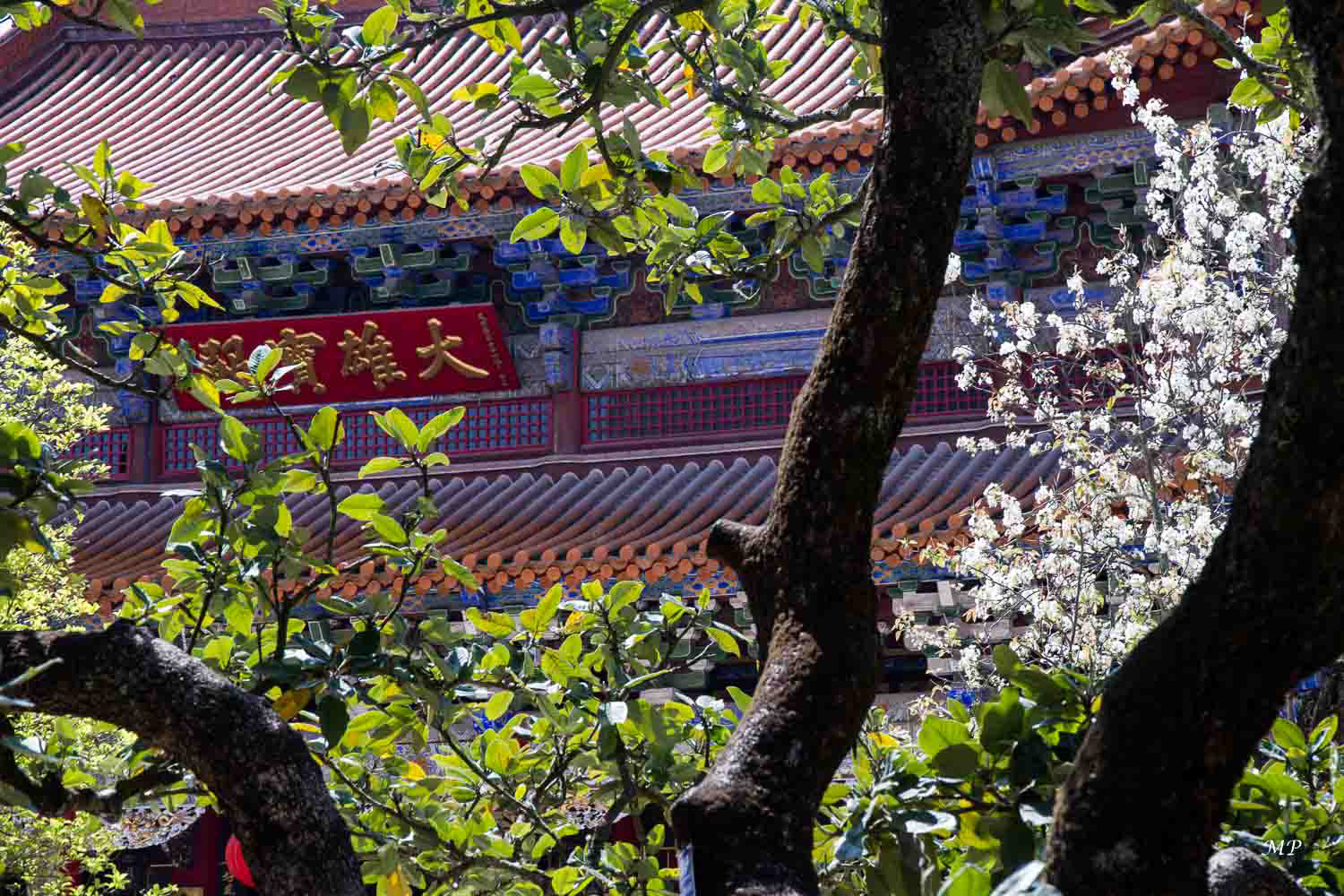 Yunnan - Kunming : Le temple des Bambous