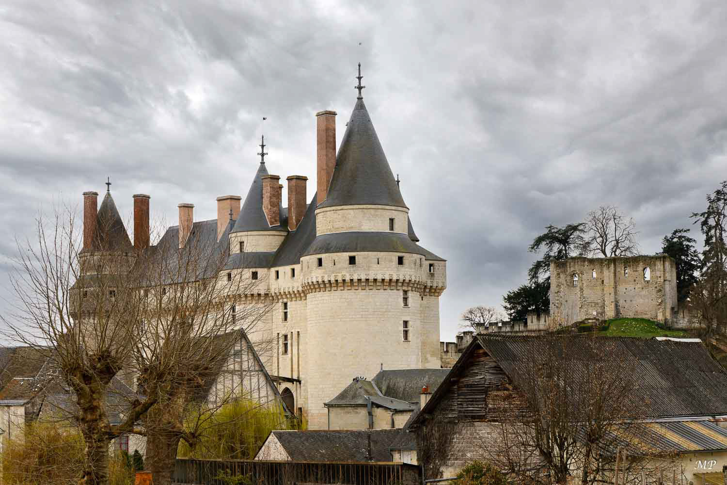 Château de Langeais (37)