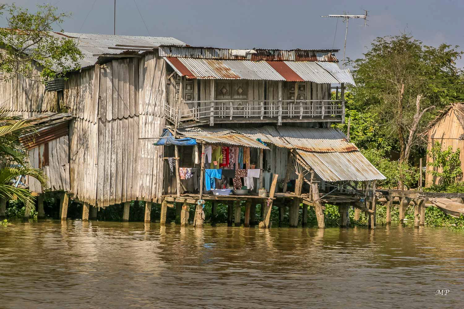 Sur les rives du Delta du Mékong des fermes élèvent des poissons chat.