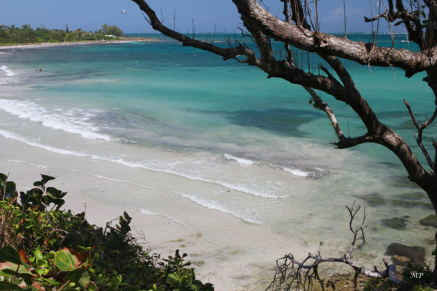 Plage du Vauclin