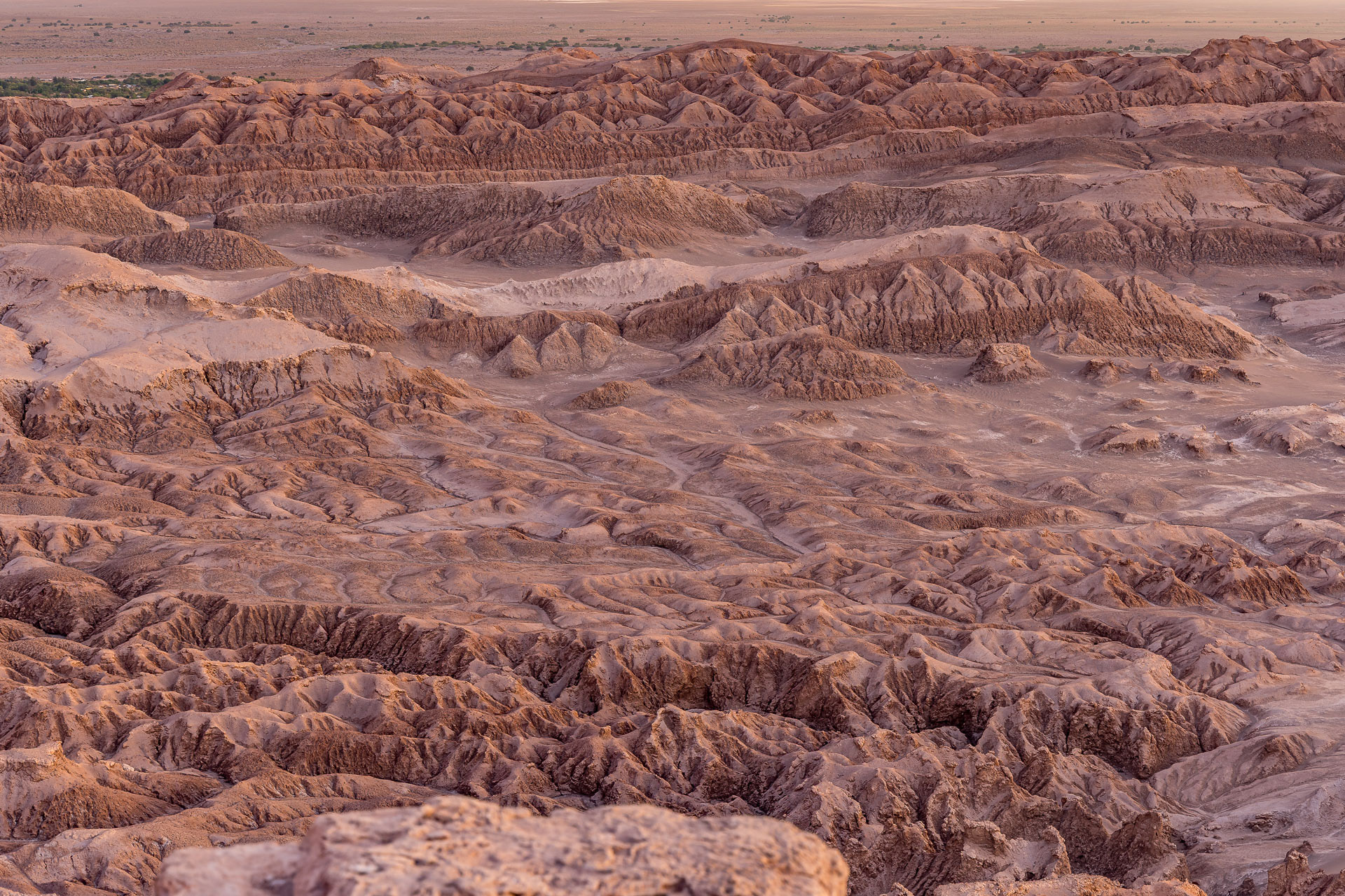 Atacama - La vallée de la Lune