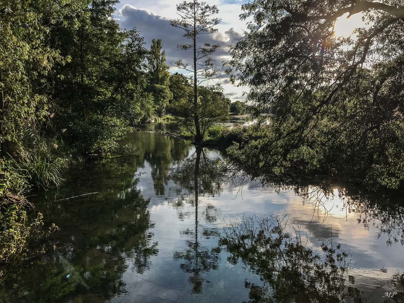 Confluence du Loiret et de la Pie
