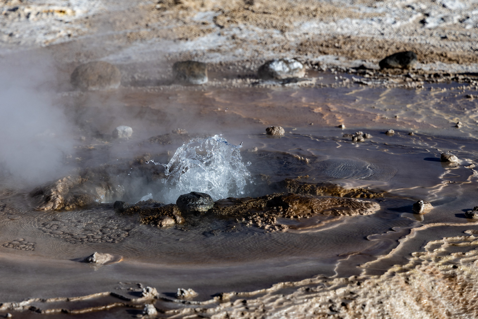 Atacama - les geysers d'El Tatio
