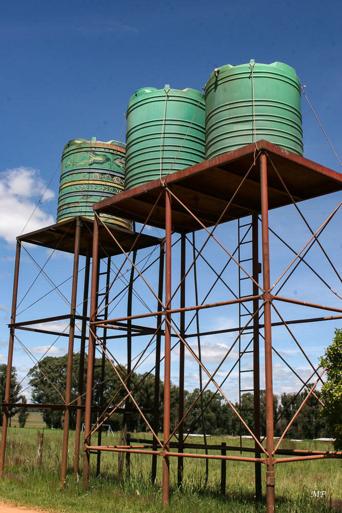 Ces grands réservoirs d'eau sont familiers du paysage campagnard du Transval.