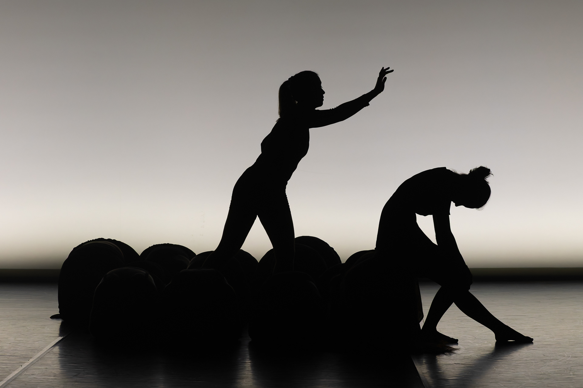 Gala Cor Caroli 2025