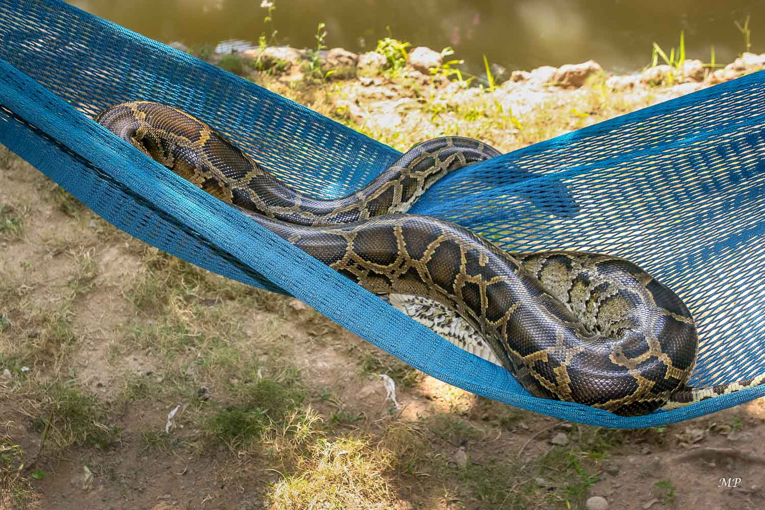 Vu sur l'île de la Licorne dans le Delta du Mékong