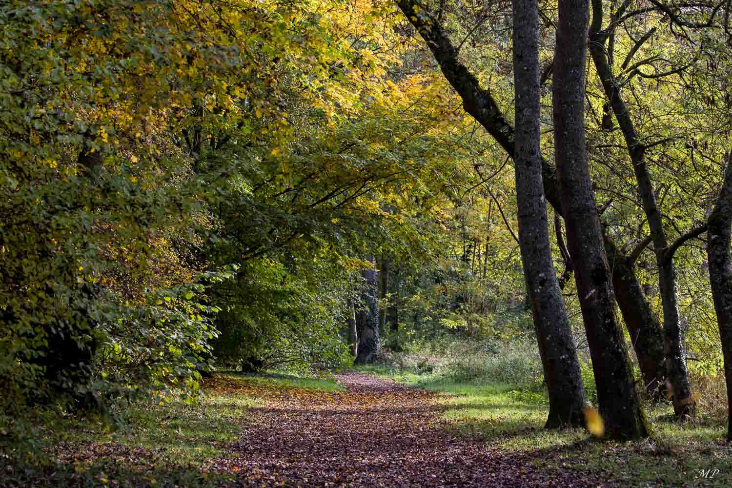 Olivet - la promenade des moulins
