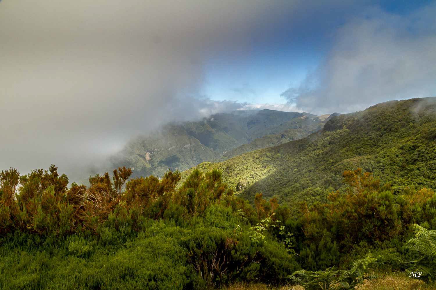 Plateau Paul Da Serra