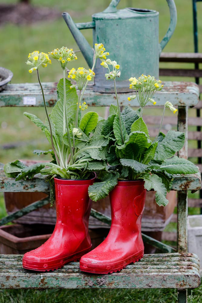 Bottes en reconversion
