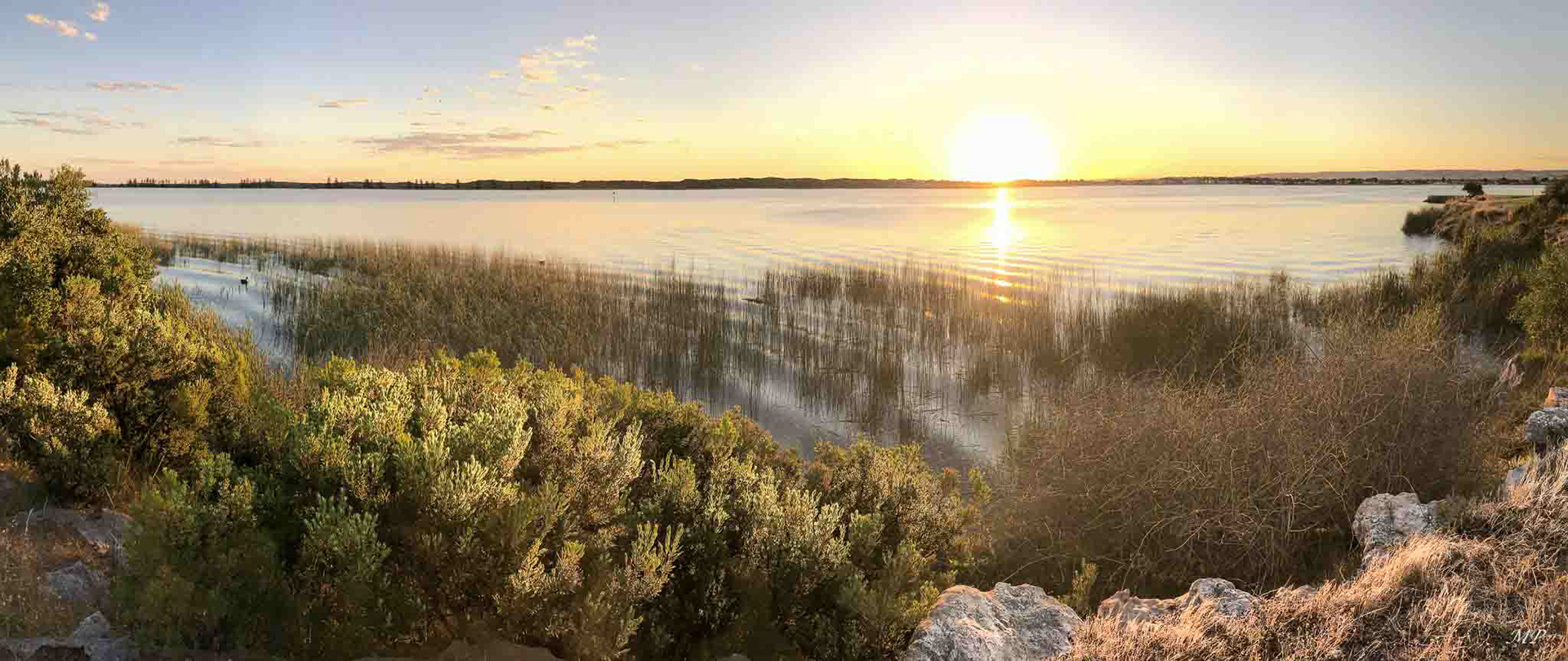 Le fleuve Murray vu de l’île d’ Hindmarsh