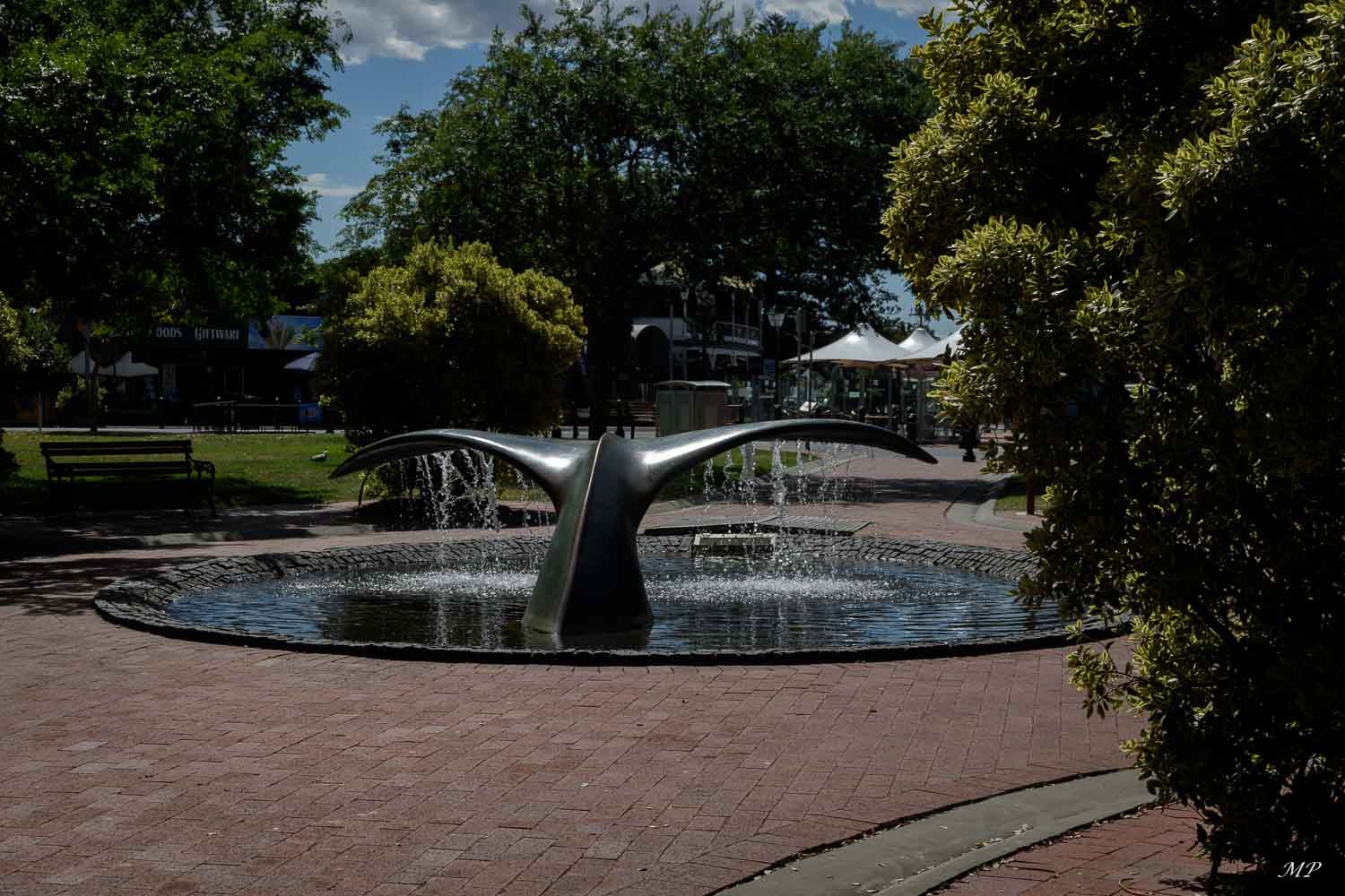 Victor Harbor est l'un des meilleurs endroits de la Péninsule du Fleurieu pour voir des baleines de la mi-mai à la fin septembre, elles viennent dans les eaux de Encounter Bay au large de Victor Harbor pour se reproduire et allaiter leurs bébés.