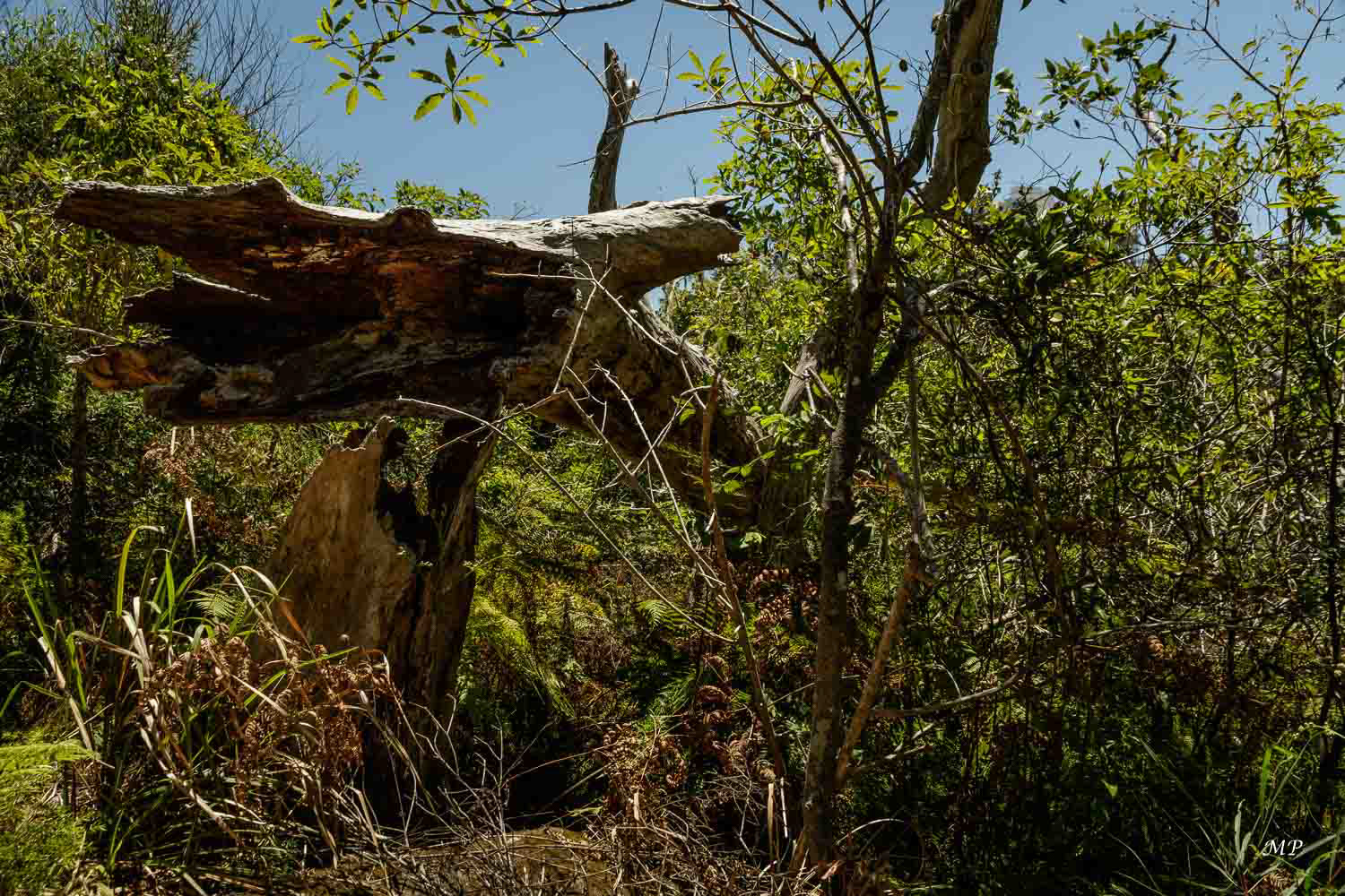 Manly - North Head Sanctuary