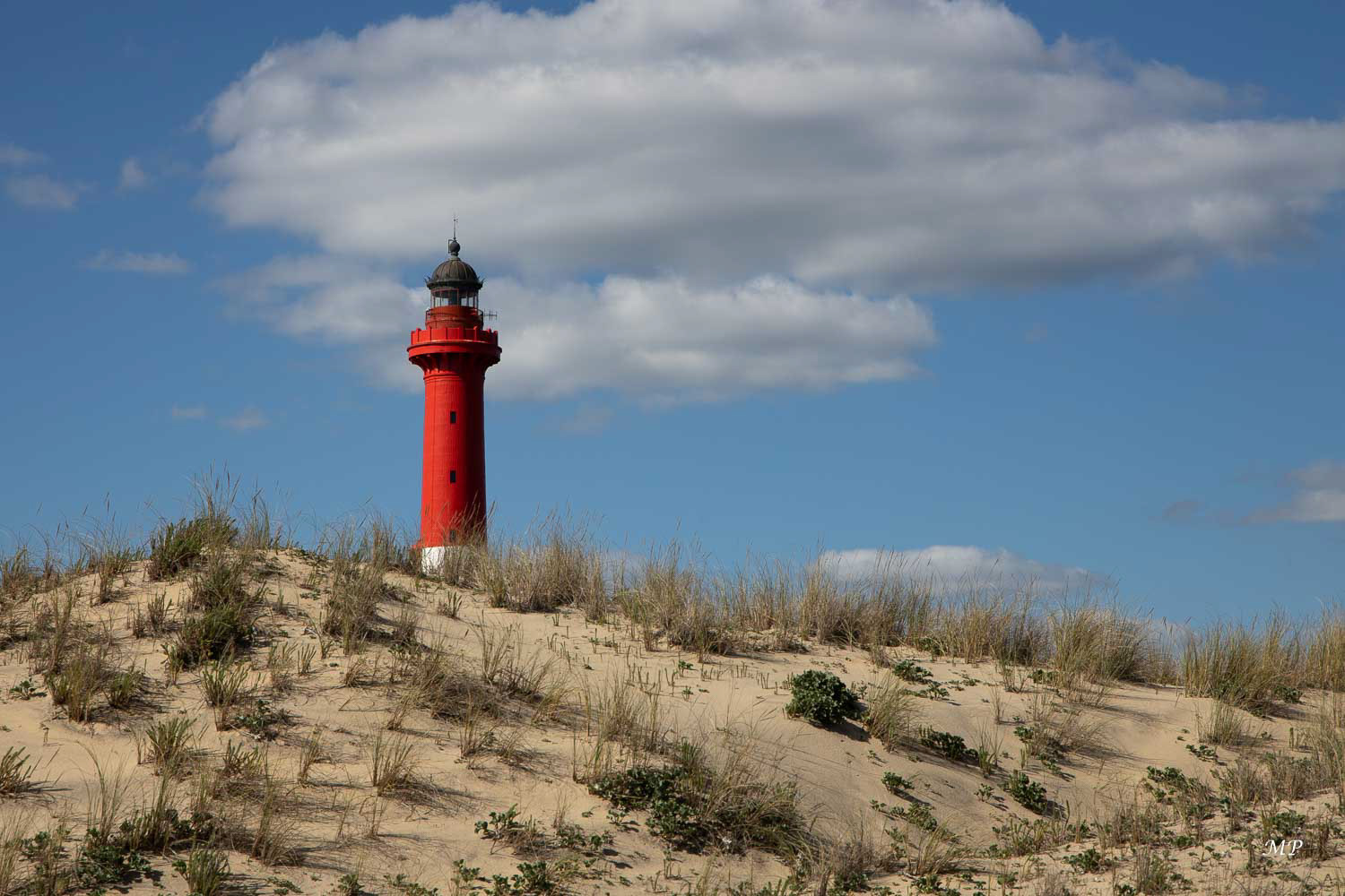 La Tremblade  (17)- le phare de la Coubre