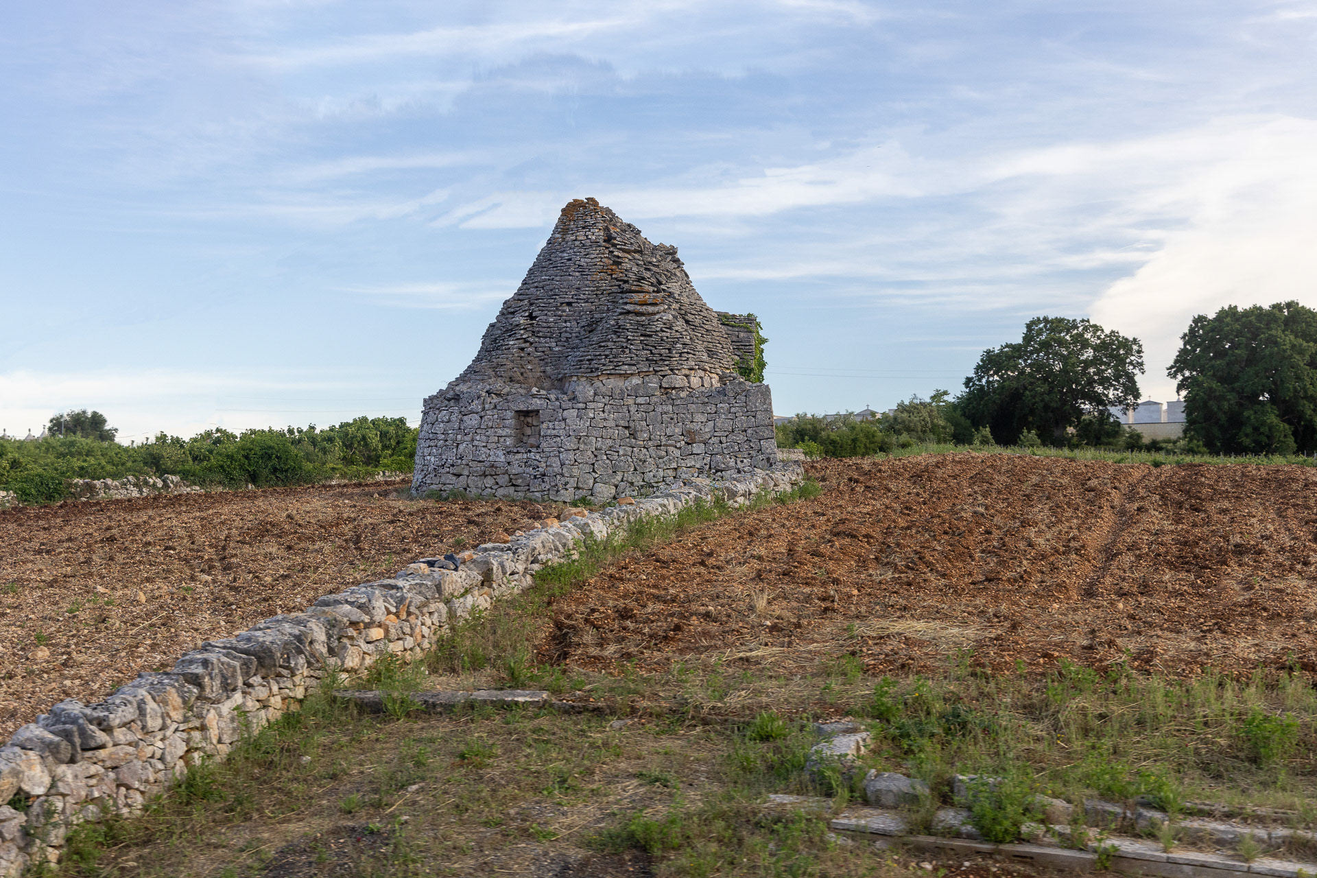Vallée d'Itria aussi appelée vallée des trulli