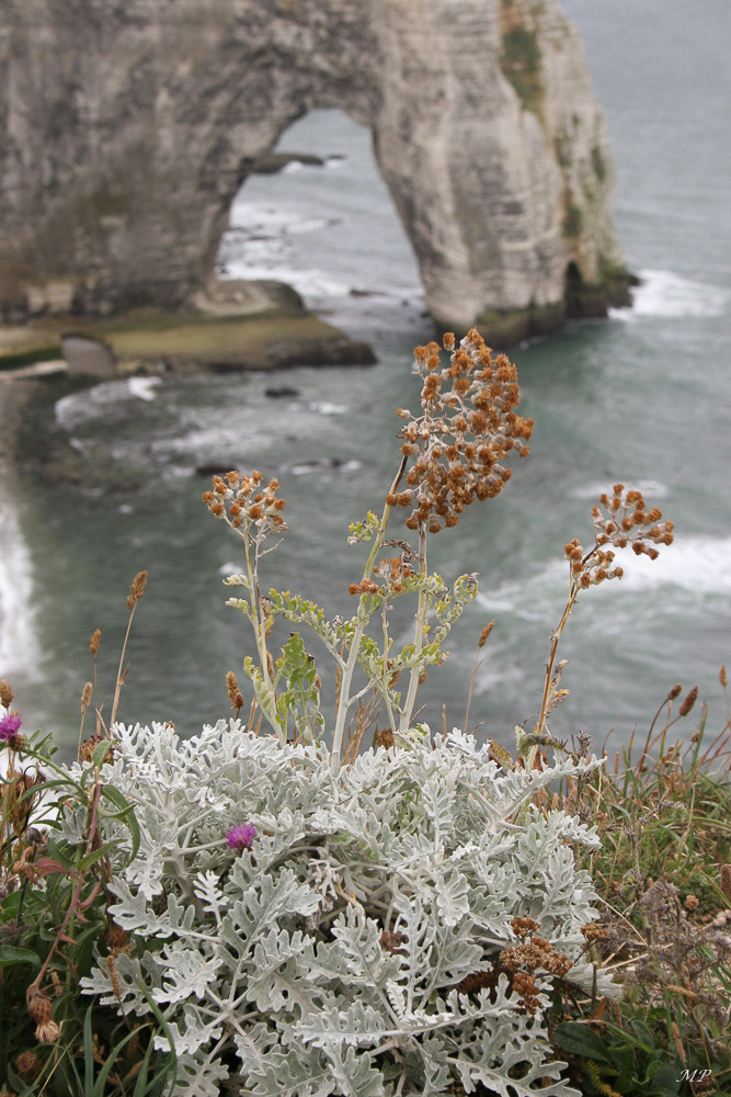 Etretat (Seine-Maritime)
