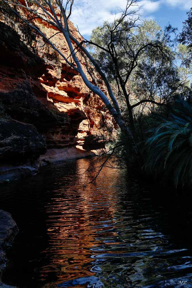 Le jardin d'Eden dans Kings Canyon avec des arbres centenaires
