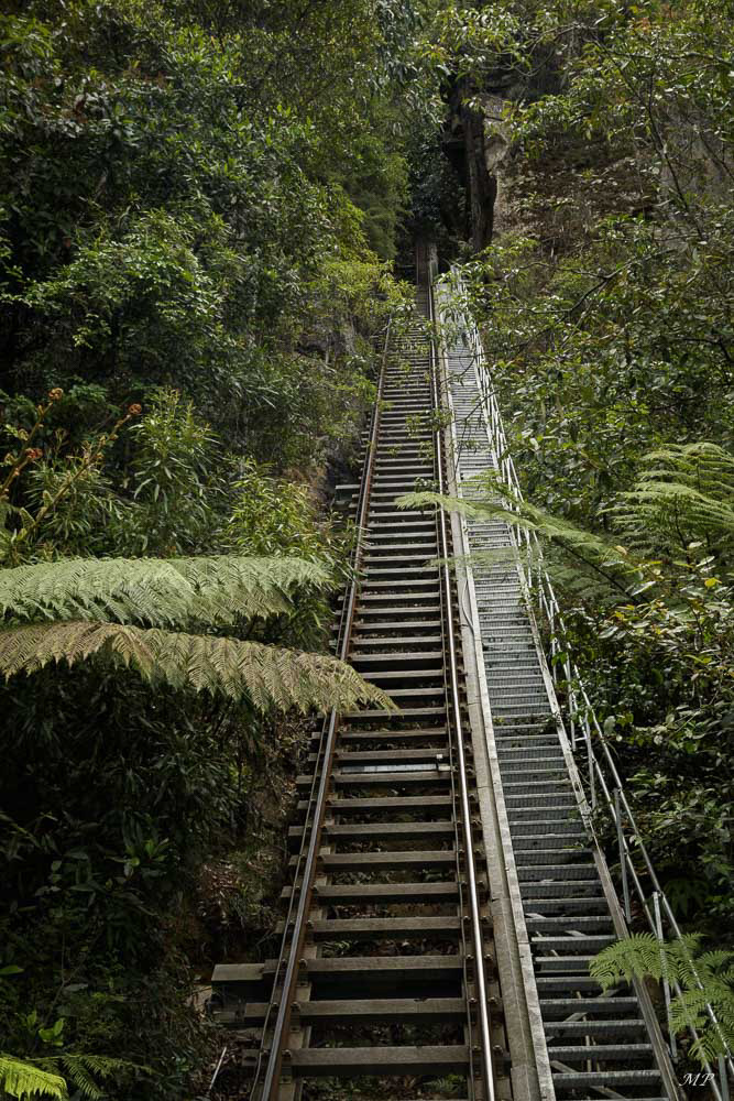 Blue Moutains – Katoomba : La section la plus raide de cette ligne de chemin de fer est de 52° sur une distance de 310 mètres. Il a été  construit  en 1880 pour remonter le charbon et de schiste  du fond de la vallée de Jamison. Puis il a été converti en attraction touristique.