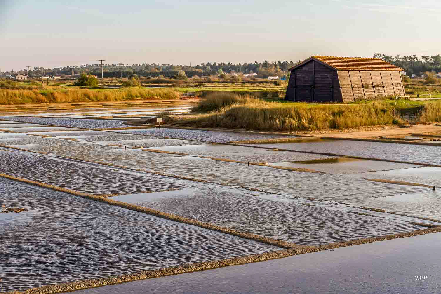 Ile d'Oléron (17)- Port des Salines
