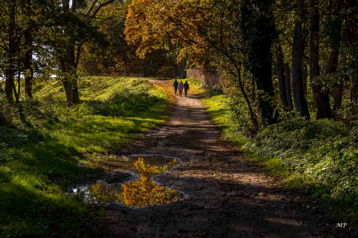 Parc de Châteauneuf-sur-Loire (45)