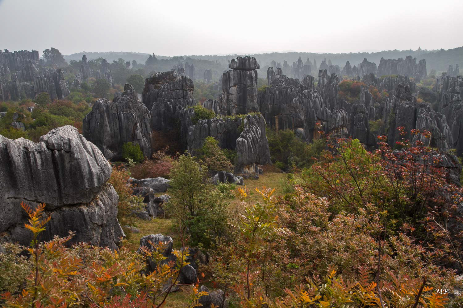 Yunnan - Shilin, la forêt de pierre