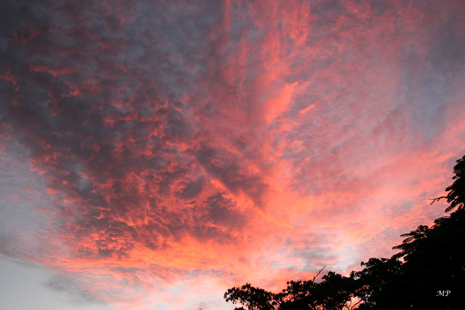 Réserve privée de Tshukudu - Autrefois ferme d'élevage, elle est devenue un paradis de 5000 ha dédié à la vie sauvage.