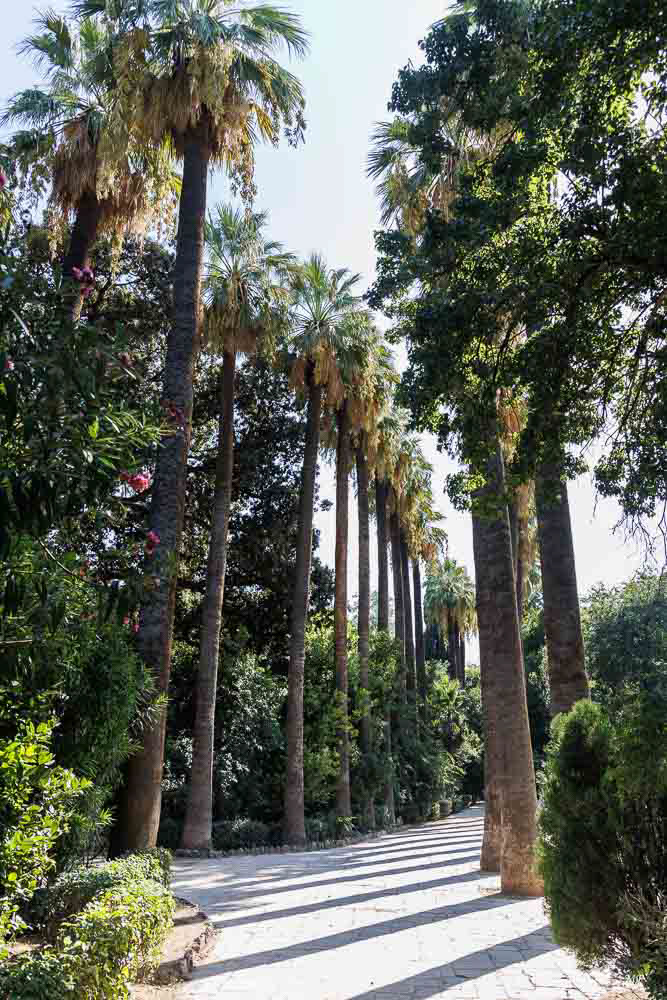 Le Jardin National derrière le Parlement, le poumon vert d'Athènes