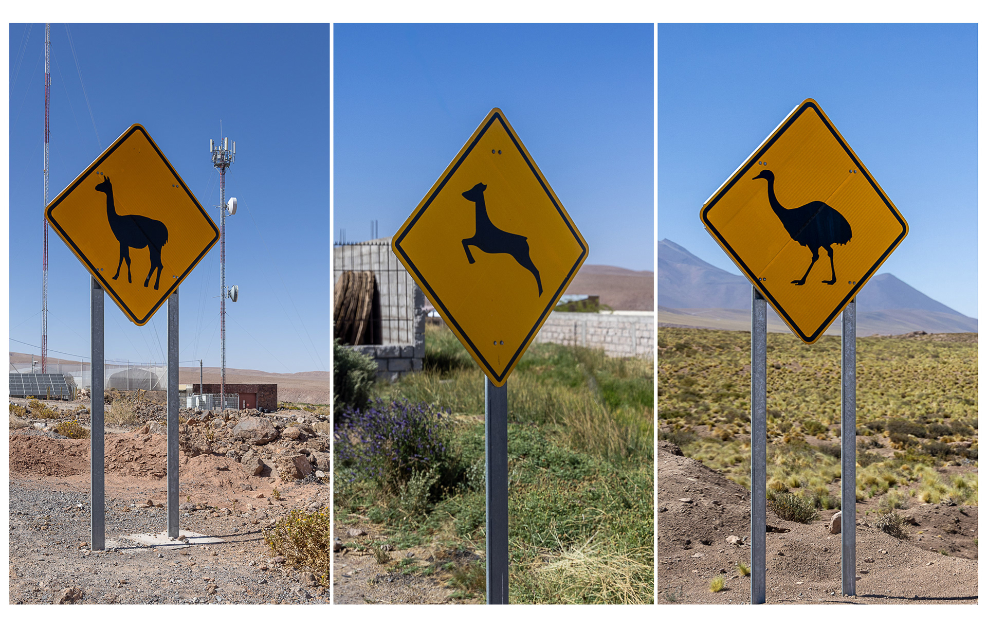 Atama - signalisation