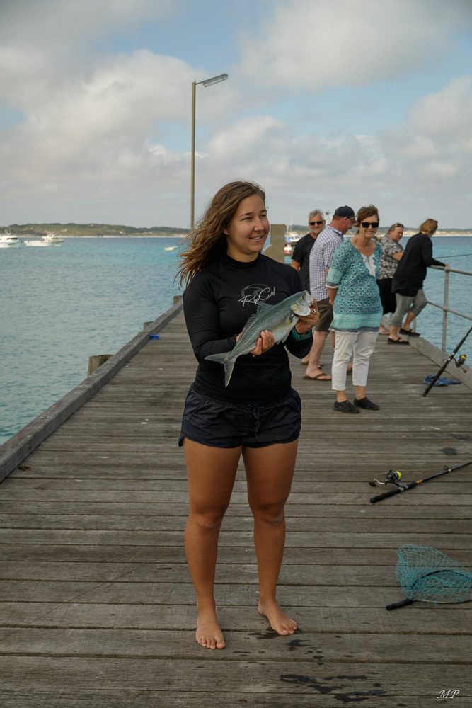 Kangaroo Island - Vivonne Bay
