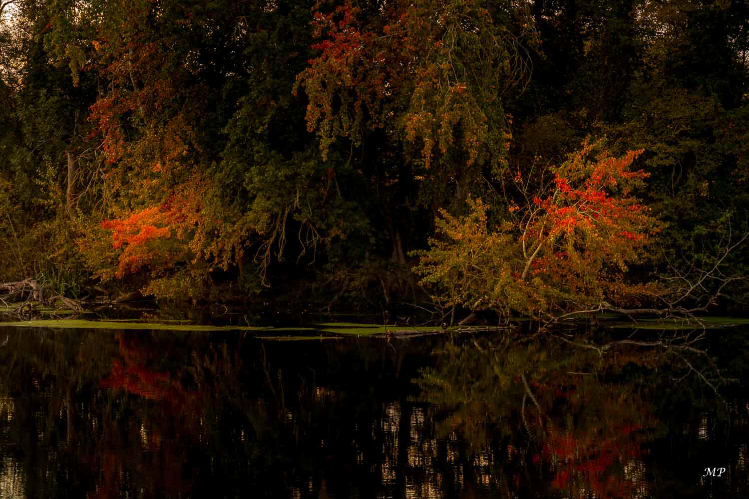 Le Loiret à Saint-Hilaire