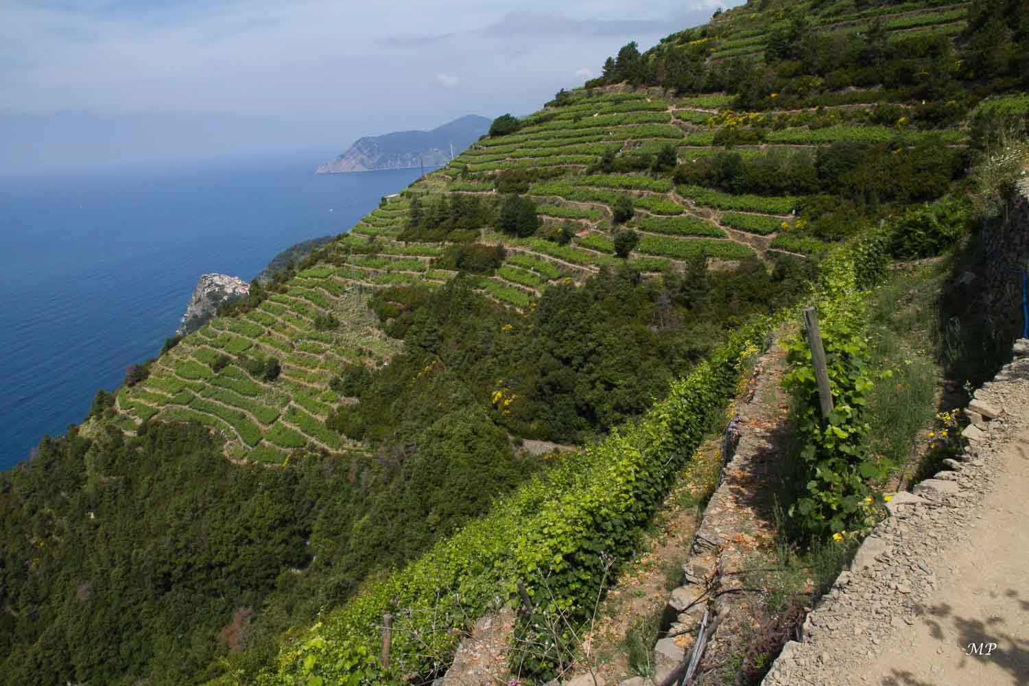 Volastra est un village de la commune de Riomaggiore qui se situe dans l’intérieur du Parc des Cinque Terre, à moins d’un kilomètre au-dessus de Manarola.