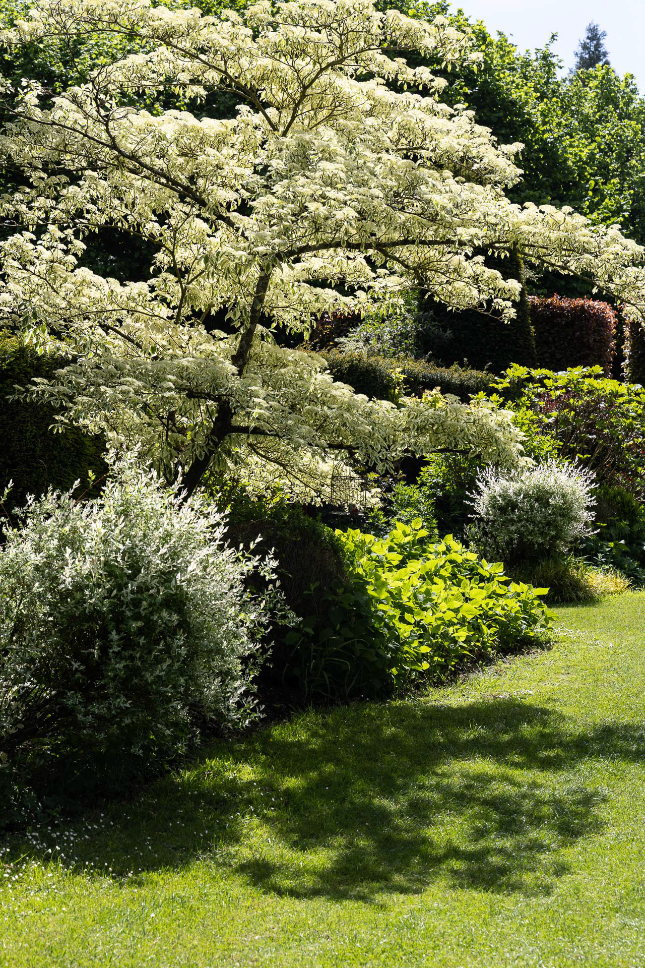 Cambremer - Jardin remarquable du Pays d'Auge (Calvados)
