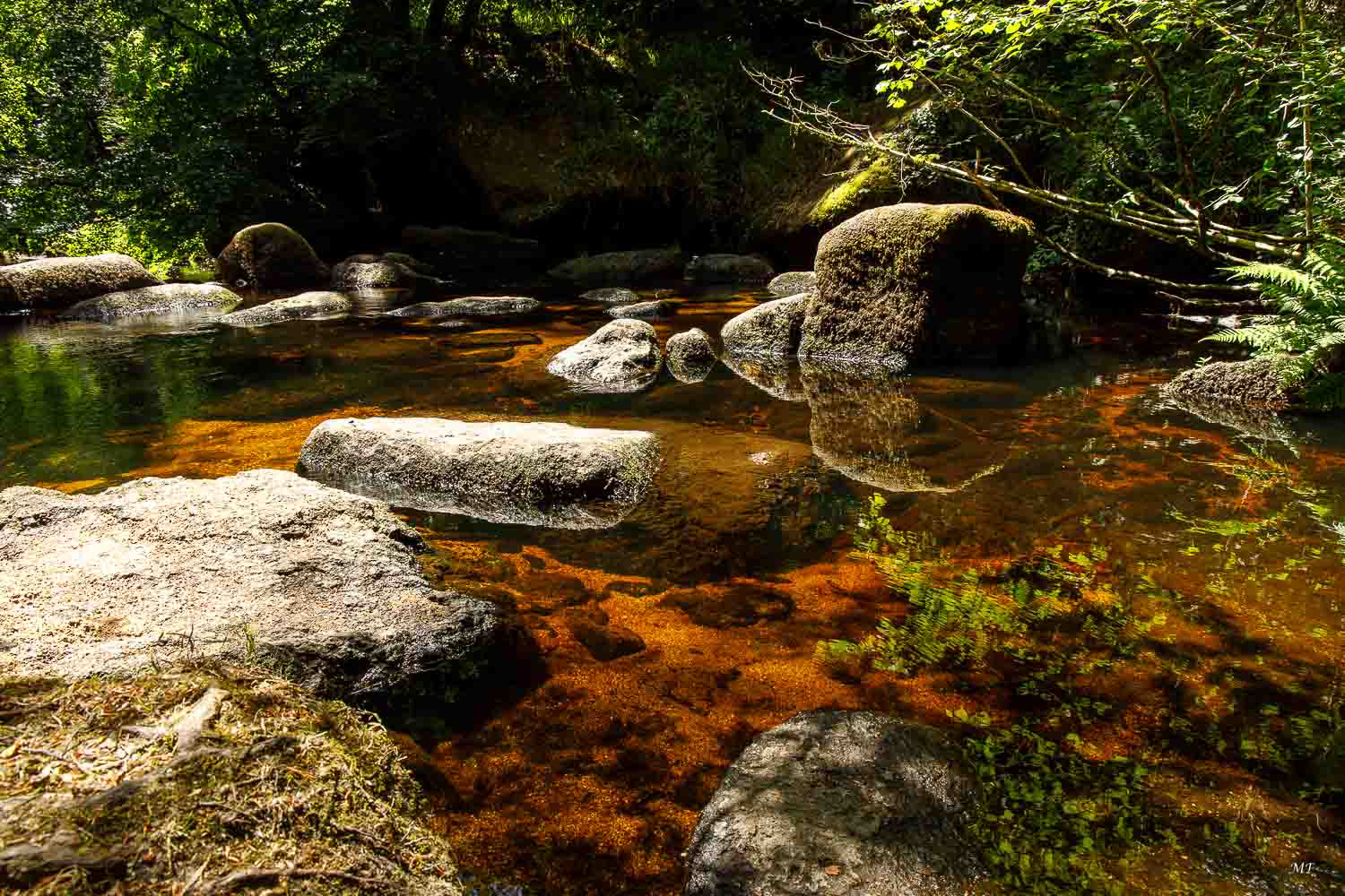 Finistère - Couleur de l'eau dans la forêt d'Huelgoat