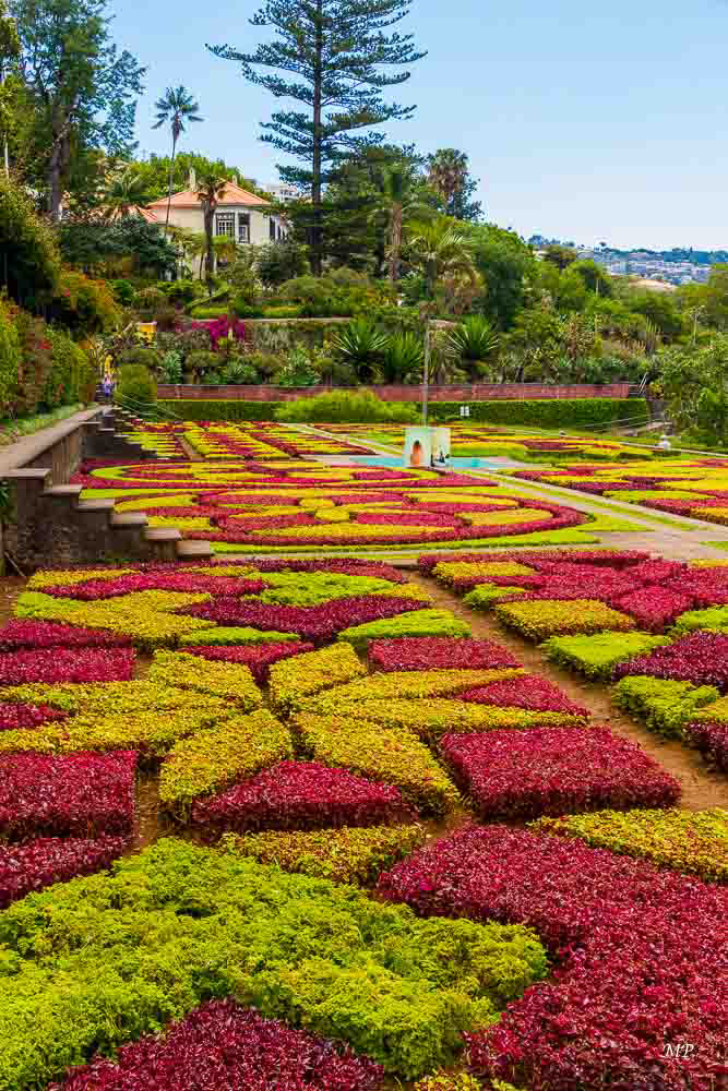 Jardin botanique de Funchal
