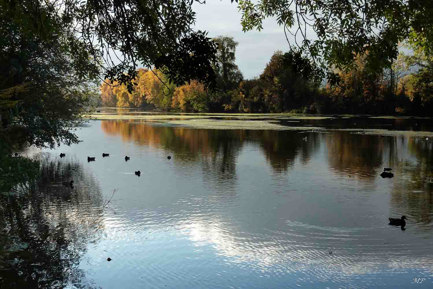 Couleur d'automne à Saint-Hilaire