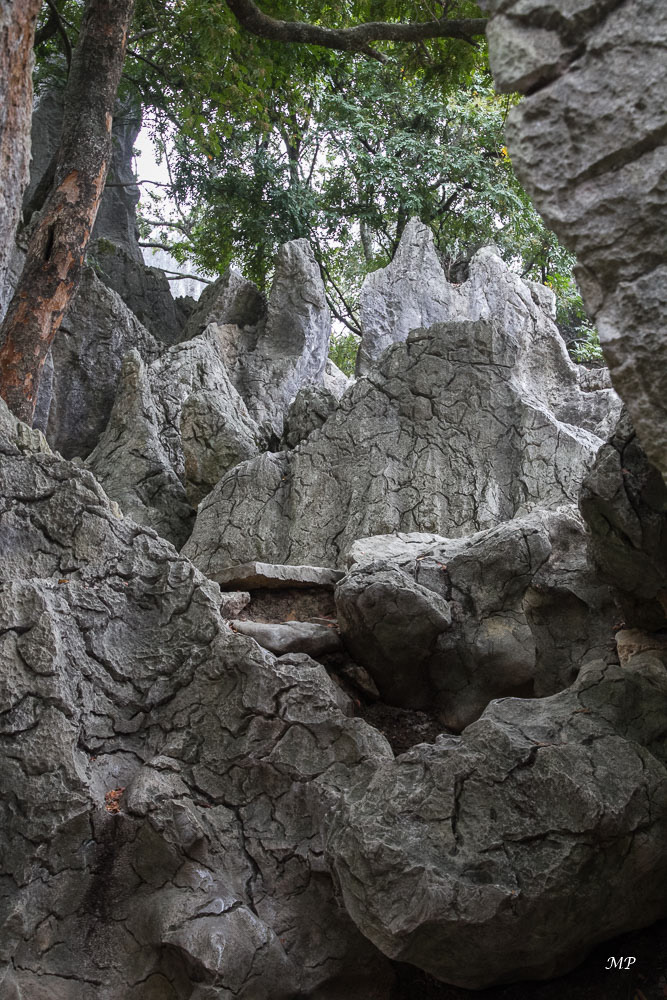 Yunnan - Shilin, la forêt de pierre