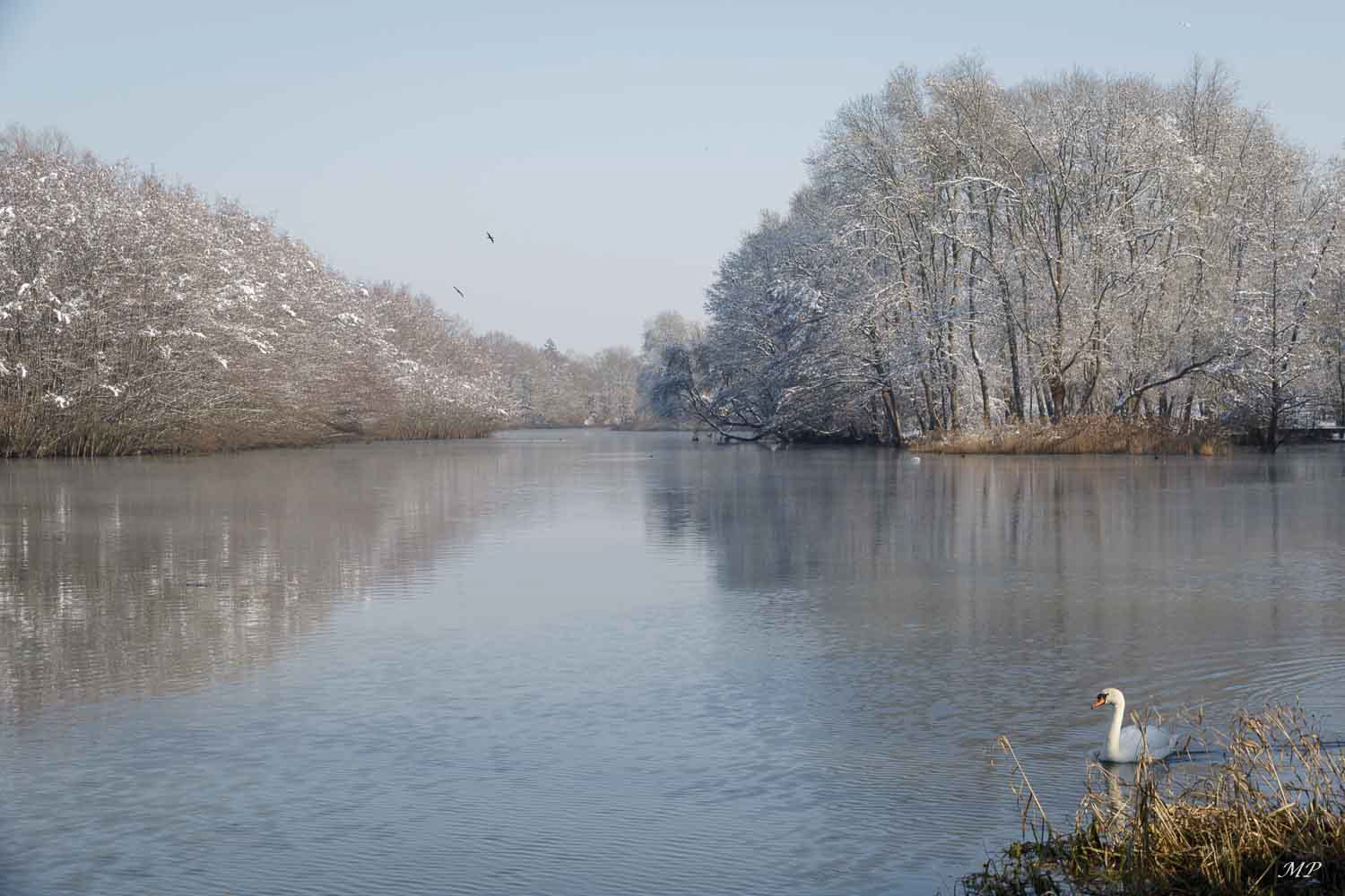 Le Loiret à Saint-Hilaire, confluence Loiret et Pie