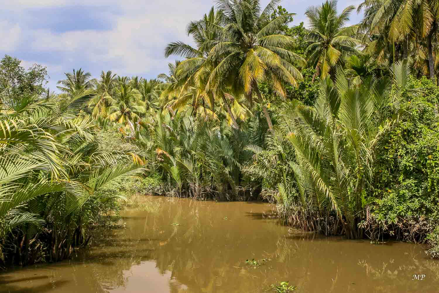 Delta du Mékong - Profusion de vert dans les îles du Mékong