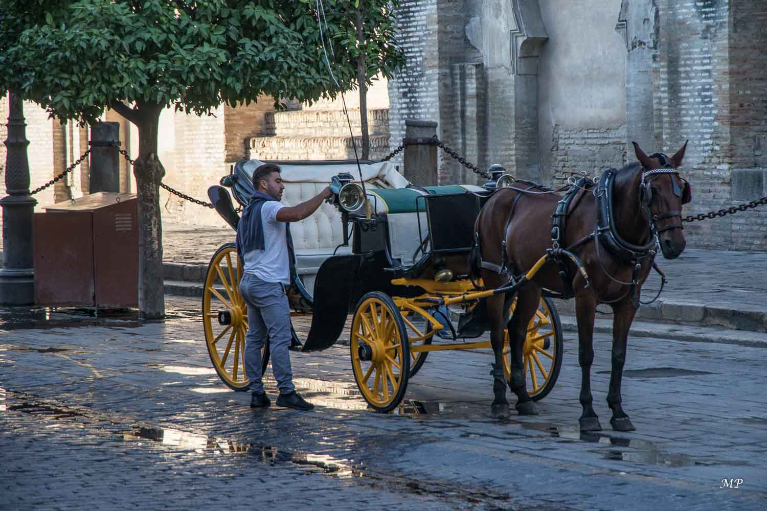 Les calèches de Séville
