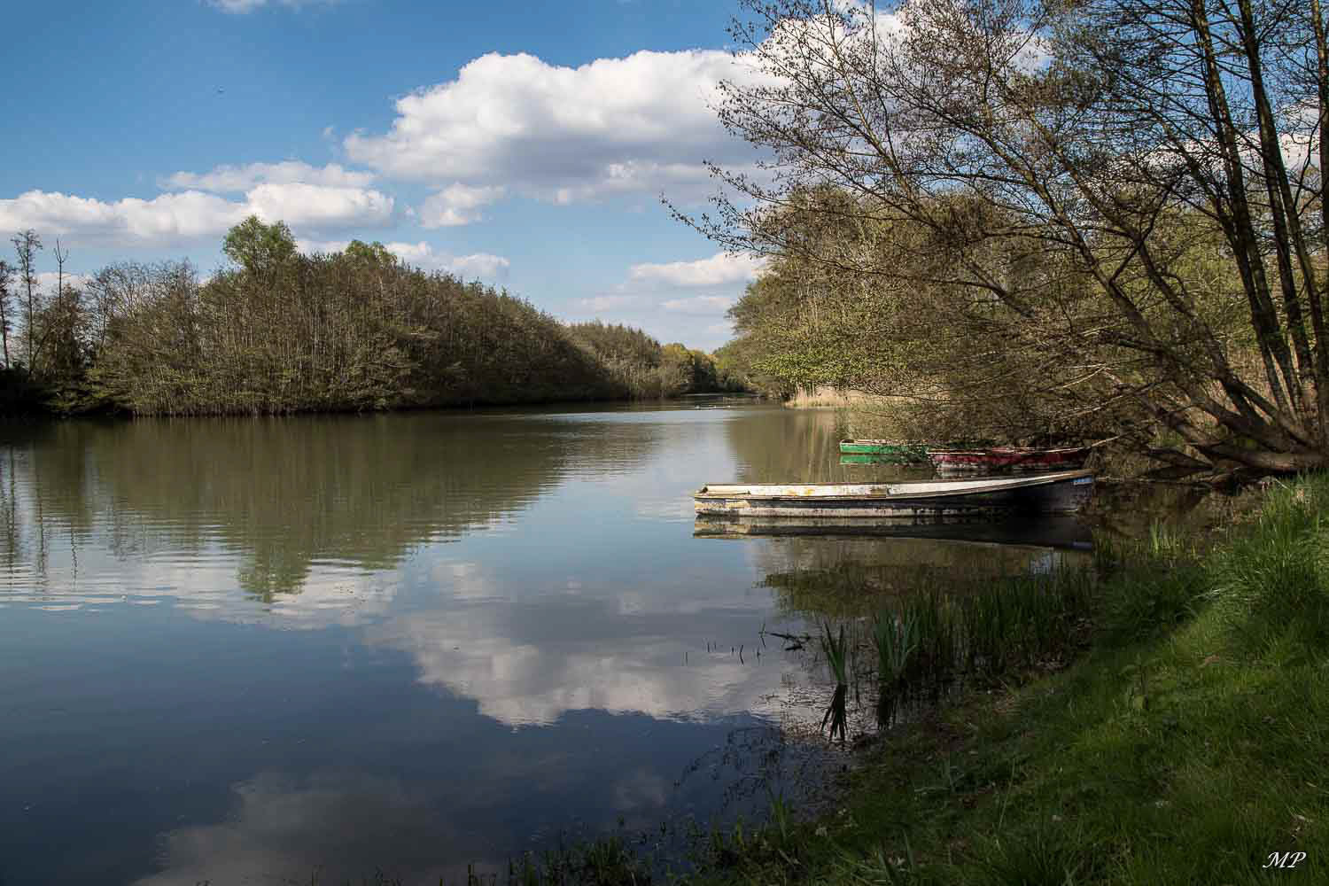 Le Loiret à Saint-Hilaire
